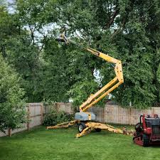 Best Fruit Tree Pruning  in Verandah, FL