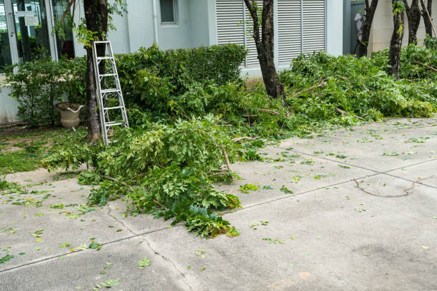 Best Utility Line Clearance  in Verandah, FL